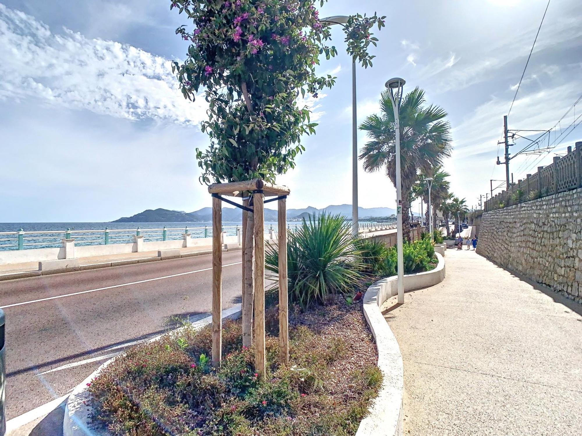 Appartement 3 Chambres A Proximite Des Plages 戛纳 外观 照片